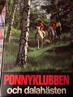 Ponnyklubben och dalah&auml;sten