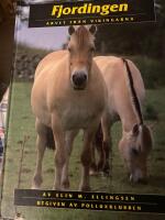 Fjordingen : arvet fr&aring;n vikingarna