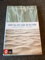 Vart du &auml;n g&aring;r &auml;r du d&auml;r : medveten n&auml;rvaro i vardagen