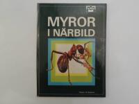 Myror i n&auml;rbild