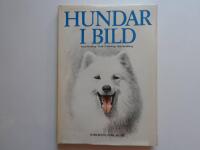Hundar i bild