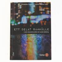 Ett delat samh&auml;lle : makt, intersektionalitet och sociala skiktning