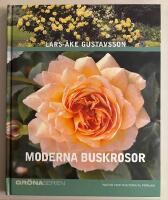 Moderna buskrosor
