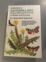 A field guide to caterpillars of butterflies and Morty&rsquo;s in Britain and europe