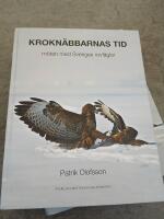 Krokn&auml;bbarnas tid - m&ouml;ten med svenska rovf&aring;glar