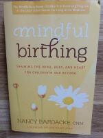 Mindful birthing - training the mind, body, and heart for childbirth and be
