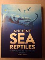 Ancient Sea Reptiles: Plesiosaurs, ichthyosaurs, mosasaurs, and more