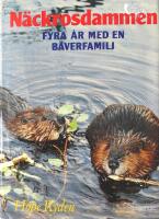 N&auml;ckrosdammen : fyra &aring;r med en b&auml;verfamilj