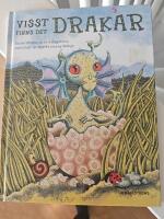Visst finns det drakar!