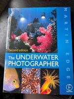 The underwater photographer