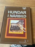 Hundar i n&auml;rbild