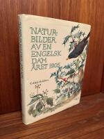 Naturbilder av eng 1905