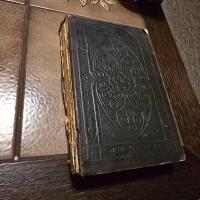 Nya testamentet p&aring; svenska