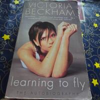 Learning to fly