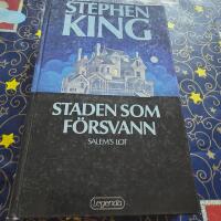 Staden som f&ouml;rsvann