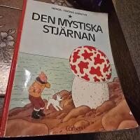 Den mystiska stj&auml;rnan