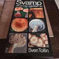 Svamp att plocka och laga