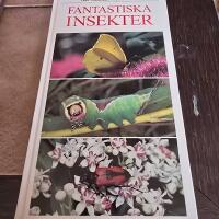 Fantastiska insekter - inblick i en sp&auml;nnande och egendomlig v&auml;rld