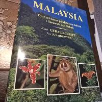 Malaysia - djur och natur p&aring; Malaysia-halv&ouml;n i Sarawak och Sabah