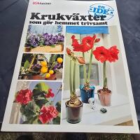 Krukv&auml;xter som g&ouml;r hemmet trivsamt