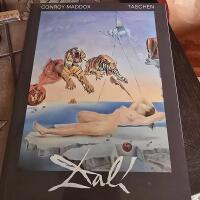 Salvador Dal&iacute; : 1904-1989 : excentriker och geni