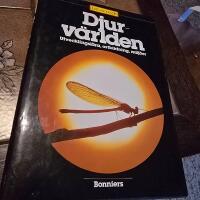 Liv och vetande : Djurv&auml;rlden : utvecklingsl&auml;ra, artbildning, milj&ouml;er : utveckling, arter, biotoper