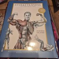Styrketr&auml;ning - En anatomisk guide