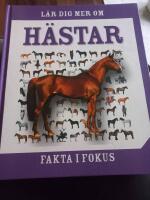Fakta i fokus. L&auml;r dig mer om h&auml;star