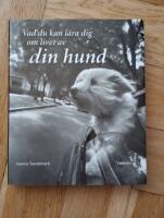 Vad du kan l&auml;ra dig om livet av din hund