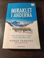 Miraklet i Anderna