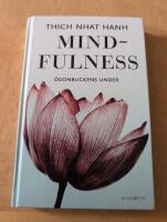 Mindfulness - &ouml;gonblickens under