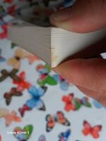 Den stora v&auml;ndningen