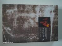 Se ansiktet : tjugofyra ess&auml;er inf&ouml;r inkarnationens mysterium