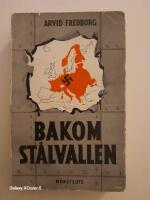 Bakom St&aring;lvallen 