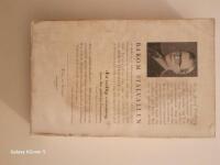 Bakom St&aring;lvallen 