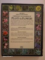 The Royal Horticultural Society gardeners' encyclopedia of plants and flowers