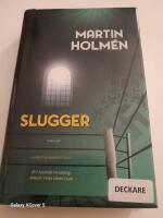 Uppviglaren : historisk kriminalroman