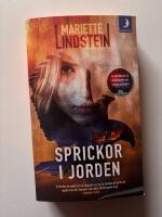 Sprickor i jorden