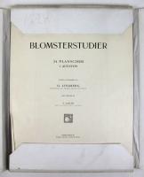 Blomsterstudier. 24 planscher i autotypi efter fotografier af O.Lindberg