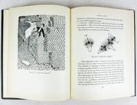 Mr Tompkins utforskar atomen