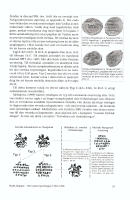 Ryska droppar. Den ryska myntningen 1350-1700