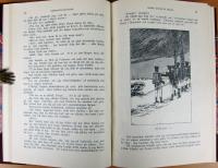 Efter Moskwas brand. Roman fr&aring;n Napoleons dagar