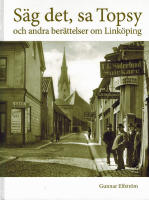 S&auml;g det, sa Topsy och andra ber&auml;ttelser om Link&ouml;ping