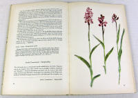 Gotlands orkid&eacute;er