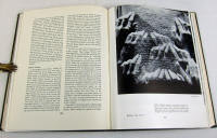 Advanced photography: methods and conclusions