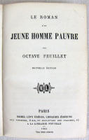 Le roman d'un jeune homme pauvre