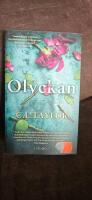 Olyckan