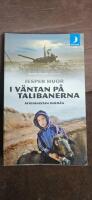 I v&auml;ntan p&aring; talibanerna : Afghanistan inifr&aring;n