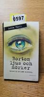Bortom ljus och m&ouml;rker