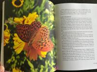 Odla f&ouml;r insekter